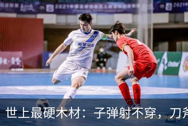 世上最硬木材：子弹射不穿，刀斧劈不烂，却被我国大量收购