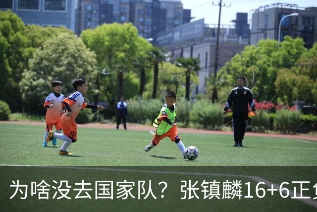 为啥没去国家队？张镇麟16+6正负值全场最高 隔扣深圳大外援点燃现场