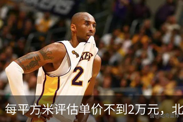 每平方米评估单价不到2万元，北京170套独栋别墅第三次整体挂牌，会有人接盘吗？