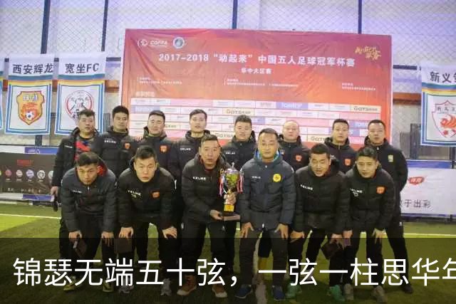 锦瑟无端五十弦，一弦一柱思华年