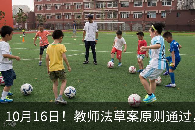 10月16日！教师法草案原则通过，1800万教师迎来重大变化
